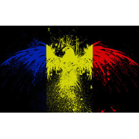 RO-W emblem