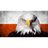 MYSZ emblem
