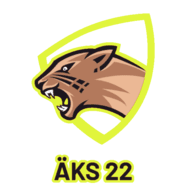 AKS22 emblem