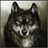 --W-- emblem