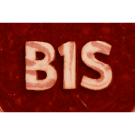 B1S emblem