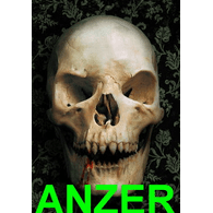 ANZER emblem