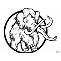 MT-W emblem