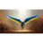 NIVA emblem