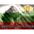 BG-BS emblem
