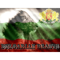BG-BS emblem