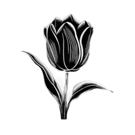 ZOVOZ emblem