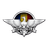 IN_RO emblem