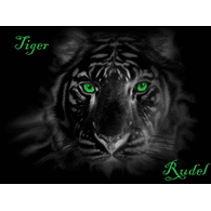 _TR emblem