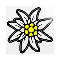 -WMS emblem