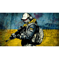 MSI20 emblem