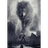 1VLK1 emblem