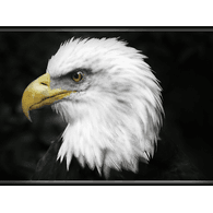CRYTO emblem