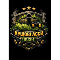 ASSII emblem