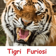 TG_RO emblem