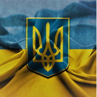 TB2UA emblem