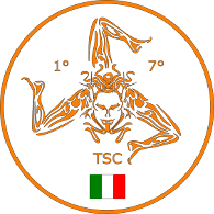 1-TSC emblem