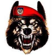 VSB emblem