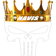 NAVIS emblem