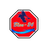 B-24 emblem