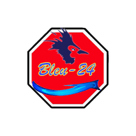B-24 emblem