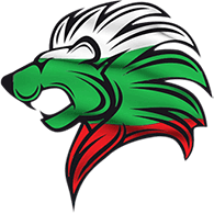 -BSF- emblem