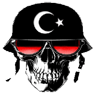 TR-53 emblem