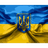 VOVKU emblem
