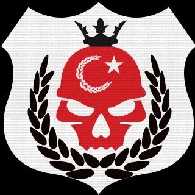 DTRN emblem