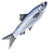 DORSZ emblem