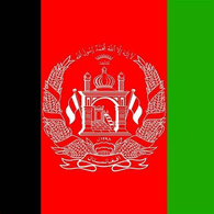 N1AFG emblem
