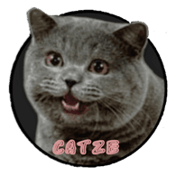 C4TZE emblem