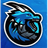 _TDD emblem