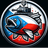 IN-S emblem