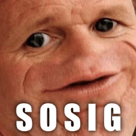 SOSIG emblem
