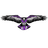 _RAV emblem