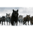 M_W_1 emblem
