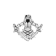 RON1N emblem