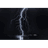 TIMIS emblem