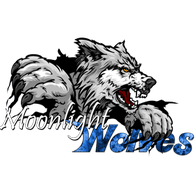 MLW_C emblem