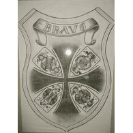 -BRA- emblem