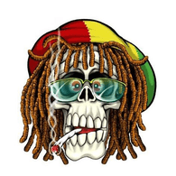 LSDA1 emblem
