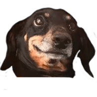 GOVN0 emblem