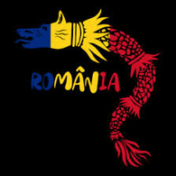 RO_25 emblem