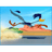 -ACME emblem