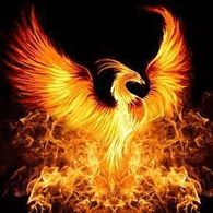 P_X_9 emblem