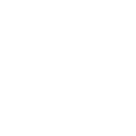 ELYSS emblem