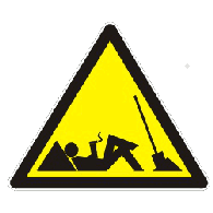 LESER emblem