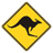 _IPS emblem