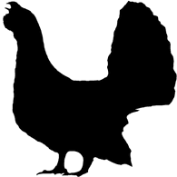 METSO emblem